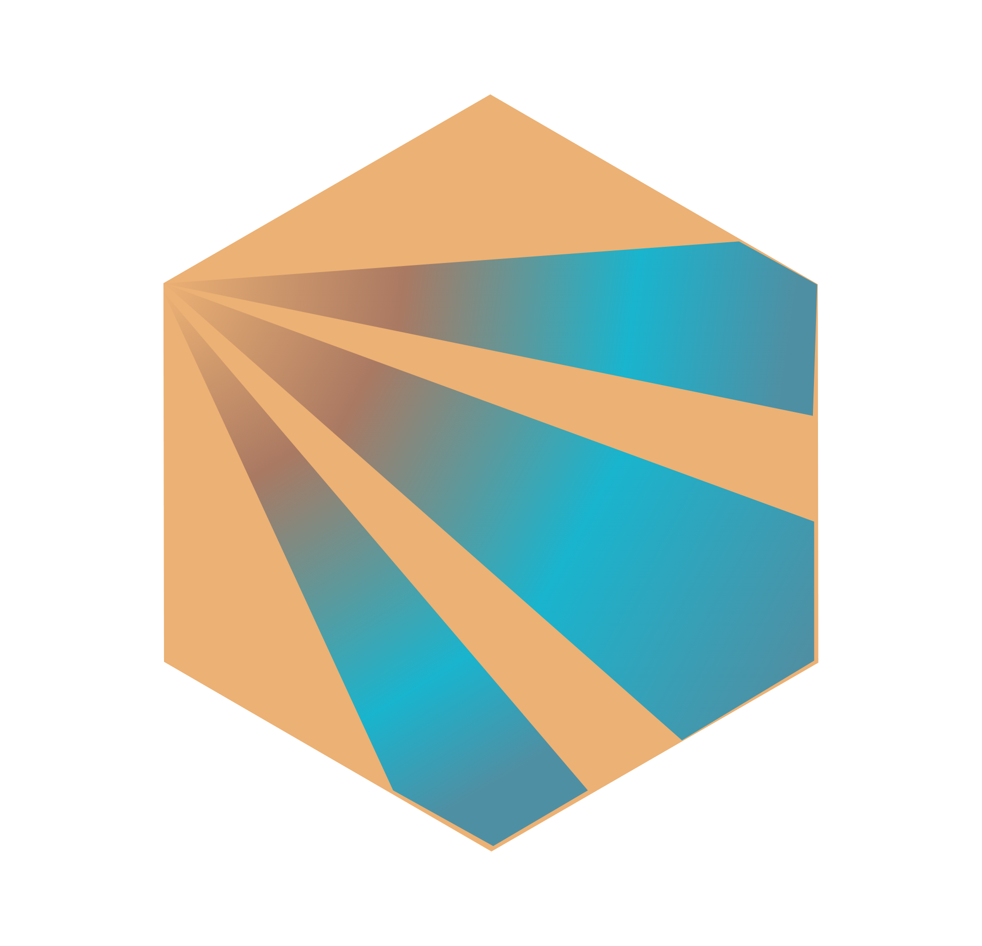 Bace Cybersecurity Institute